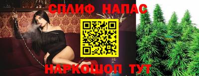 спиды Будённовск