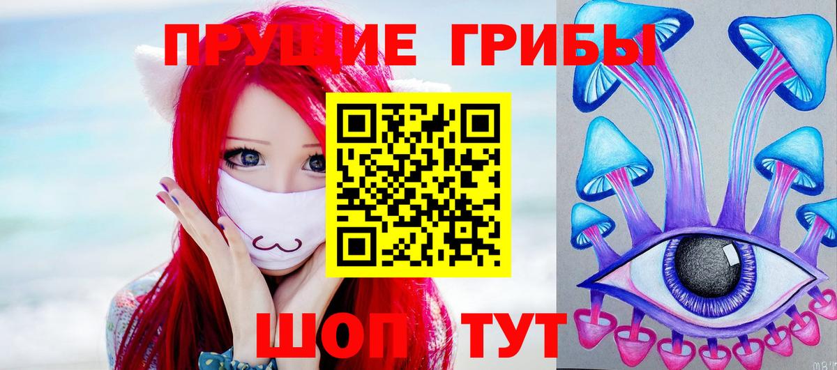Псилоцибиновые грибы GOLDEN TEACHER Красноармейск