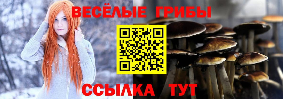 Галлюциногенные грибы GOLDEN TEACHER  Псилоцибиновые грибы Psilocybe  Красноармейск  Вход с VPN 